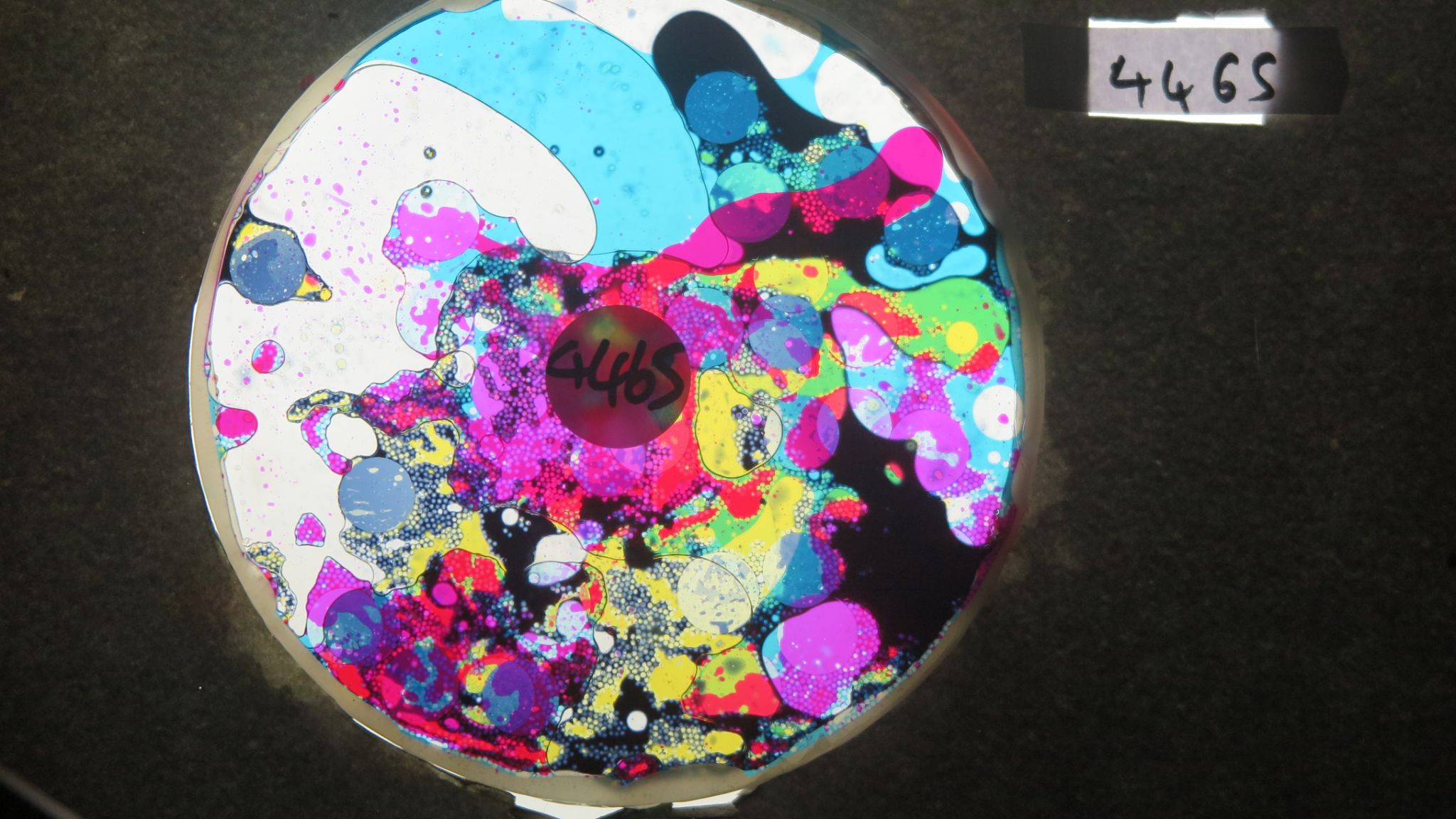 BV4465 bubble vision oil wheel